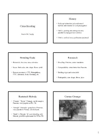 Citrus Breeding History Breeding Goals Rootstock Rootstock Hybrids
