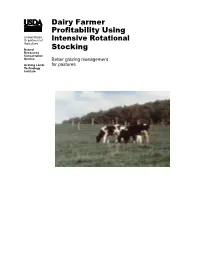 Dairy Farmer Profitability Using Intensive Rotational Stocking