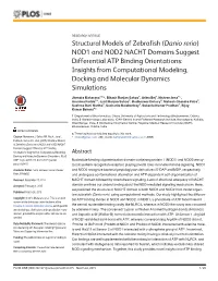 Structural Models of Zebrafish (Danio Rerio) NOD1 and NOD2 NACHT