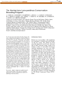 The Iberian Lynx Lynx Pardinus Conservation Breeding Program A