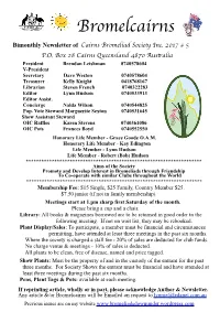 Tillandsia Streptophylla Belize - Dave Weston - Better Next Month, Page 7 4