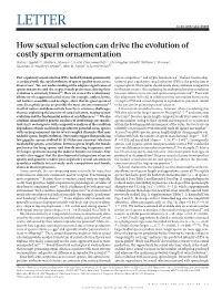 How Sexual Selection Can Drive the Evolution of Costly Sperm Ornamentation Stefan Lüpold1,2*, Mollie K