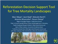 Reforestation Decision Support Tool for Tree Mortality Landscapes