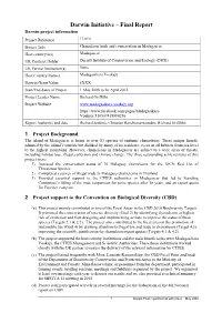 Final Report