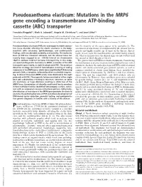Mutations in the MRP6 Gene Encoding a Transmembrane ATP-Binding Cassette (ABC) Transporter