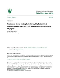 Neotropical Nectar-Feeding Bats (Family Phyllostomidae) Revisited: Lingual Data Support a Recently-Proposed Molecular Phylogeny
