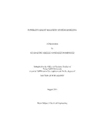 Power-Invariant Magnetic System Modeling