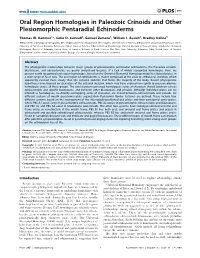Oral Region Homologies in Paleozoic Crinoids and Other Plesiomorphic Pentaradial Echinoderms