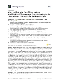 Virus and Potential Host Microbes from Viral-Enriched Metagenomic Characterization in the High-Altitude Wetland, Salar De Huasco, Chile