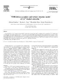 NMR-Driven Secondary and Tertiary Structure Model of Ca -Loaded