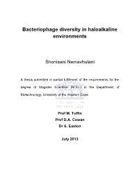 Bacteriophage Diversity in Haloalkaline Environments
