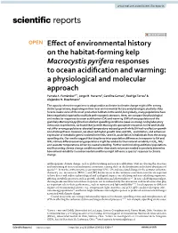 Effect of Environmental History on the Habitat-Forming Kelp Macrocystis