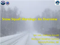 Snow Squall Warnings: an Overview