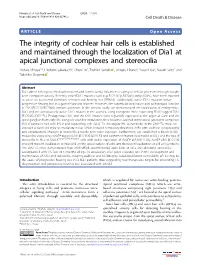The Integrity of Cochlear Hair Cells Is Established and Maintained