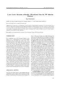 A New Lower Devonian Arthrodire (Placodermi) from the NW Siberian Platform