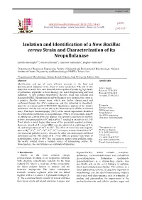 Isolation and Identification of a New Bacillus Cereus Strain and Characterization of Its Neopullulanase