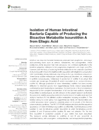 Isolation of Human Intestinal Bacteria Capable of Producing the Bioactive Metabolite Isourolithin a from Ellagic Acid
