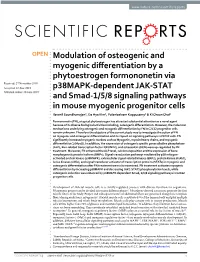 Modulation of Osteogenic and Myogenic Differentiation By