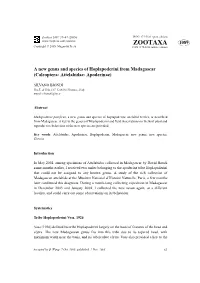 Zootaxa, Coleoptera, Attelabidae, Apoderinae, Hoplapoderini