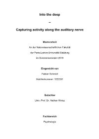 Capturing Activity Along the Auditory Nerve
