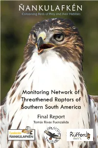 Detailed Final Report