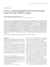 Few Cav 1.3 Channels Regulate the Exocytosis of a Synaptic Vesicle At