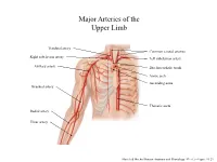 Major Arteries of the Upper Limb