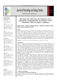 Breeding and Embryonic Development of an Indigenous Ornamental Fish