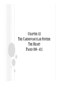 Chapter 12 the Cardiovascular System: the Heart Pages