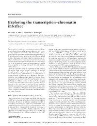 Exploring the Transcription–Chromatin Interface