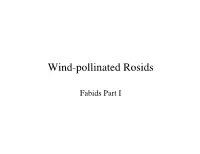 Phylogeny of Rosids