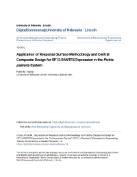 Application of Response Surface Methodology and Central Composite Design for 5P12-RANTES Expression in the Pichia Pastoris System