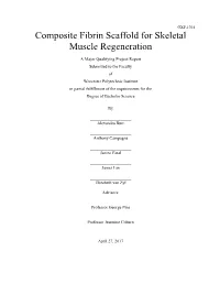 Composite Fibrin Scaffold for Skeletal Muscle Regeneration