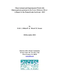 Observational and Experimental Work with Didymosphenia Geminata in the Lower Delaware River: a Report to the Pennsylvania Seagrant - 2013