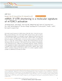 UTR Shortening Is a Molecular Signature of Mtorc1 Activation