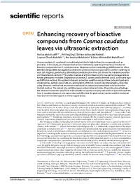 Enhancing Recovery of Bioactive Compounds from Cosmos Caudatus