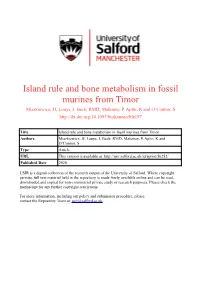 Island Rule and Bone Metabolism in Fossil Murines from Timor
