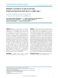 Multiple Resistance to Bacterial Halo Blight and Bacterial Leaf Spot In