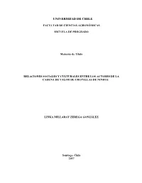 Repositorio Académico