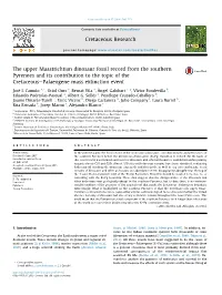 The Upper Maastrichtian Dinosaur Fossil Record from the Southern