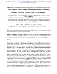 Differential Stromal Reprogramming in Benign and Malignant Naturally Occurring Canine Mammary Tumours Identifies Disease-Promoting Stromal Components