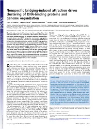 Nonspecific Bridging-Induced Attraction Drives Clustering of DNA