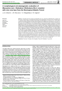 A Morphological and Phylogenetic Evaluation of &lt;I