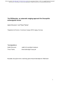 An Automatic Staging Approach for Drosophila Melanogaster Larvae