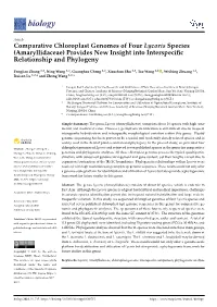 Comparative Chloroplast Genomes of Four Lycoris Species (Amaryllidaceae) Provides New Insight Into Interspeciﬁc Relationship and Phylogeny