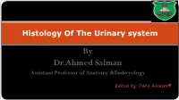 Urinary System