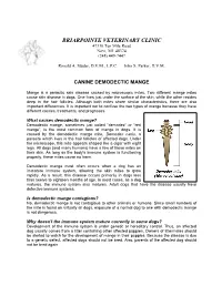 Canine Demodectic Mange
