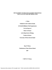 Development of Field Management Protocols for Atlantic Rose Hip Production