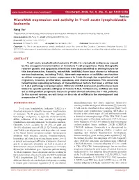 Microrna Expression and Activity in T-Cell Acute Lymphoblastic Leukemia