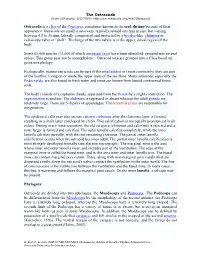 Ostracoda an Introduction.Pdf